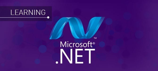 what to learn next teaser