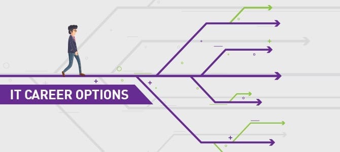 IT Career Options