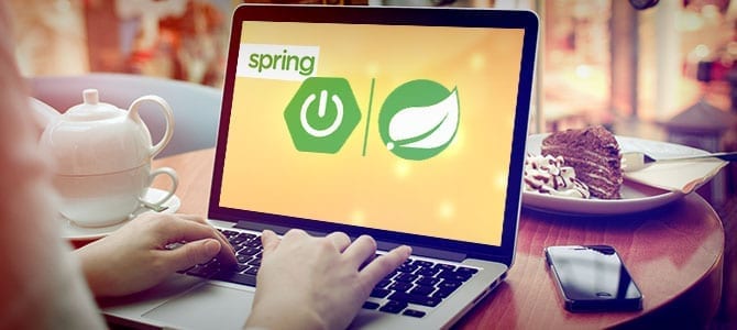 spring boot teaser