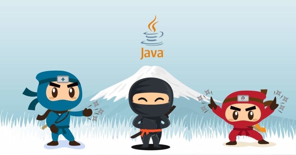 Journey to Becoming Spring Framework Ninja cover image